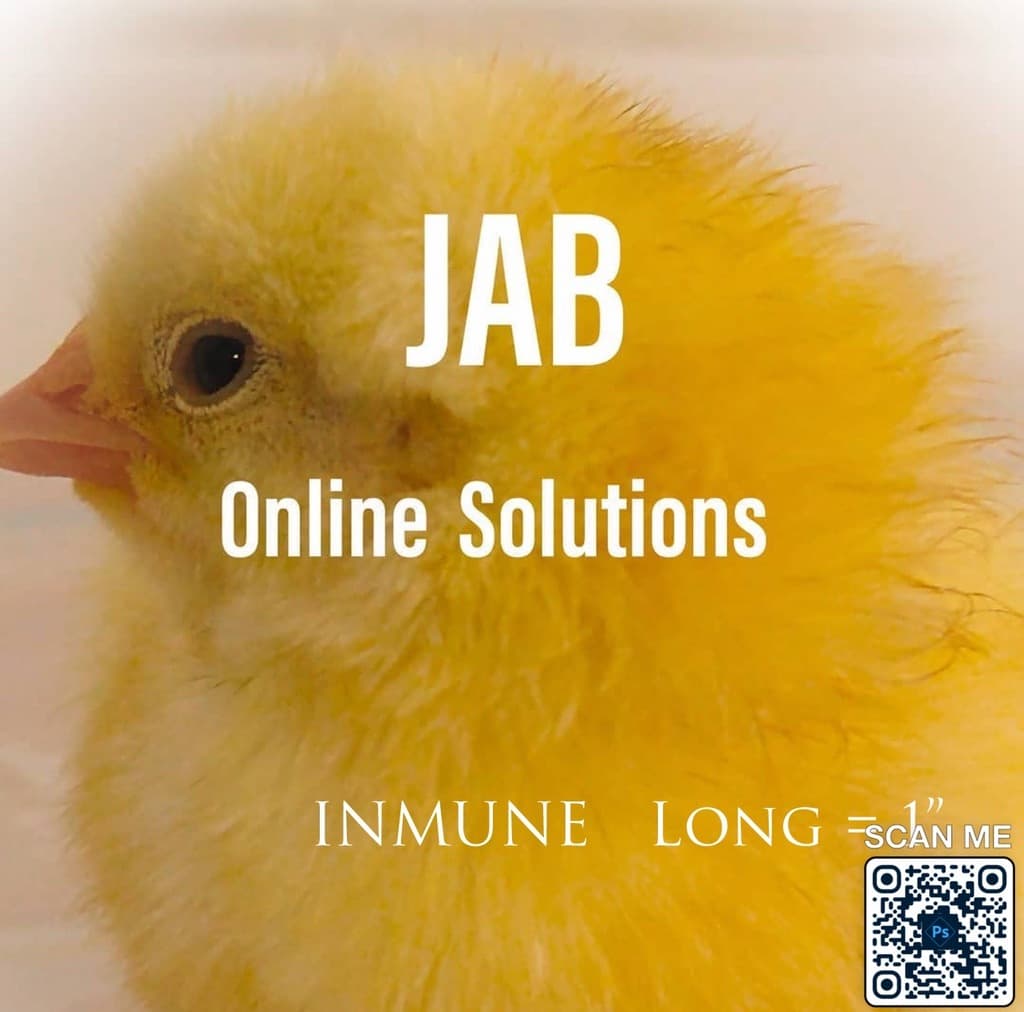 Day One Logic: planificación del rendimiento avícola desde la incubación - 1