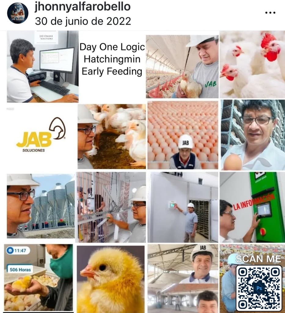 Day One Logic: planificación del rendimiento avícola desde la incubación - 2