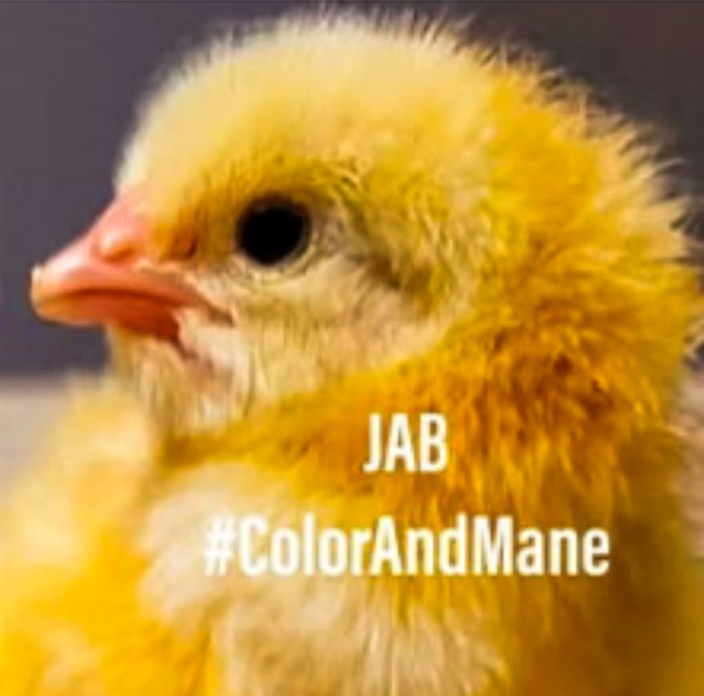 El Concepto: "JIT-Hatchery" (Incubación Justo a Tiempo) - 3