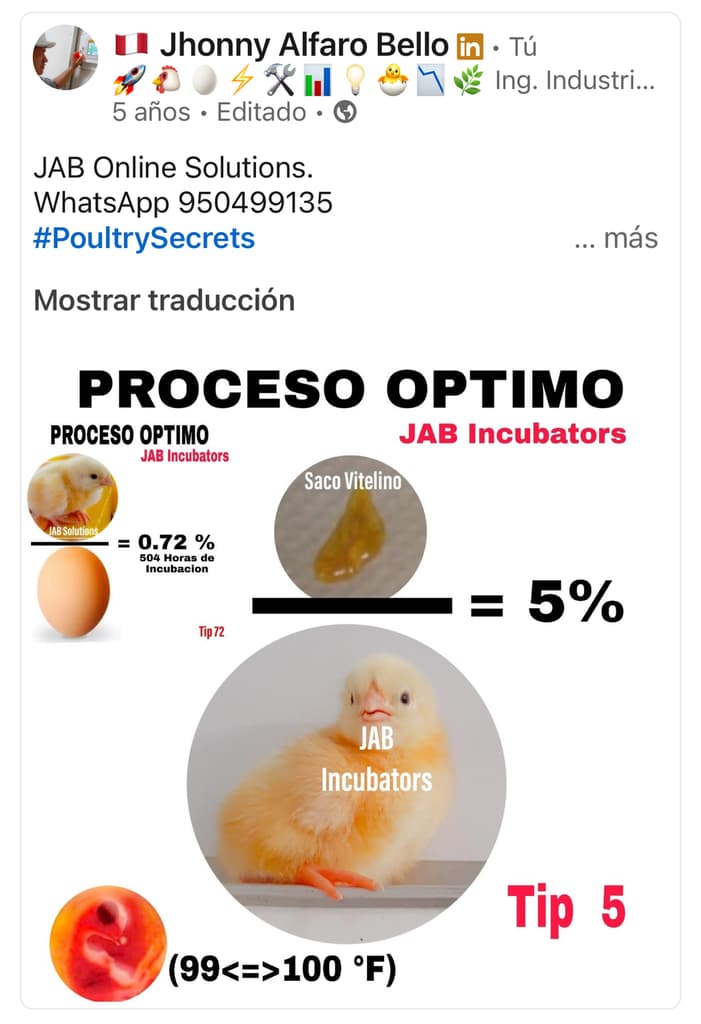 DESAFIANDO LOS LIMITES DE INCUBACION - 1