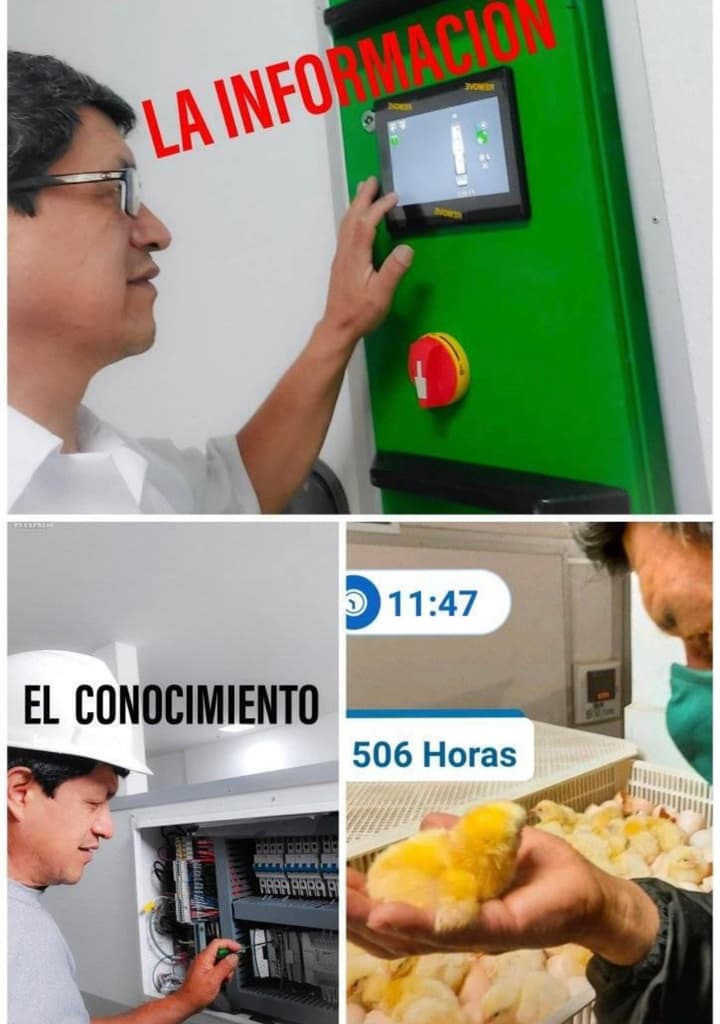 Errores operativos normalizados en plantas avícolas y su impacto productivo Introducción - 3