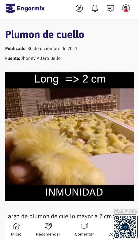 El Concepto: "JIT-Hatchery" (Incubación Justo a Tiempo) - 4