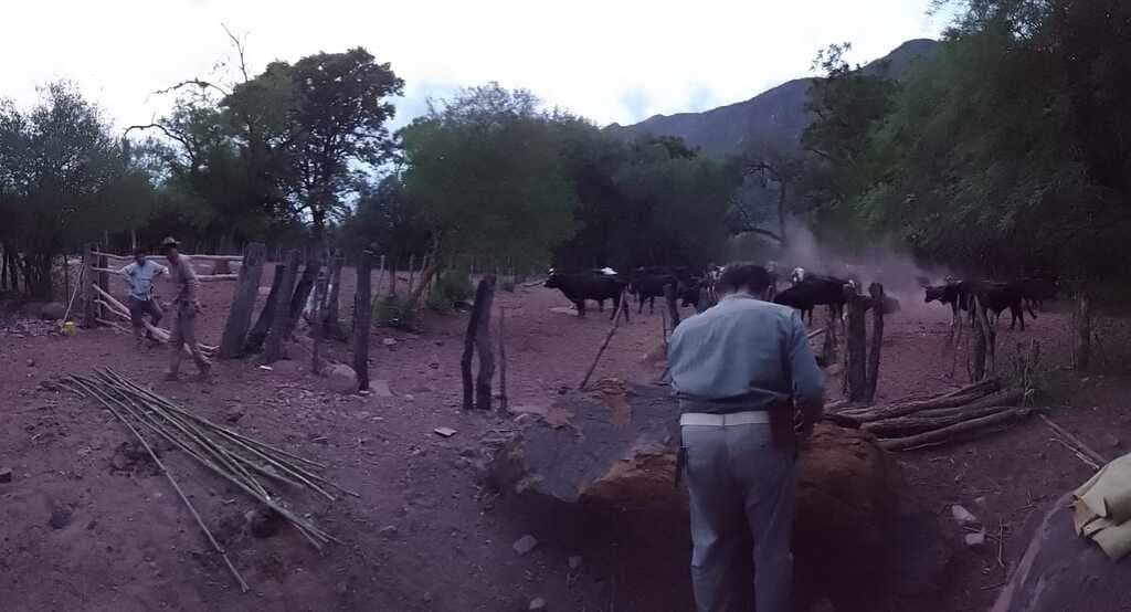 Control poblacional de D. rotundus en Provincia de Salta - 4