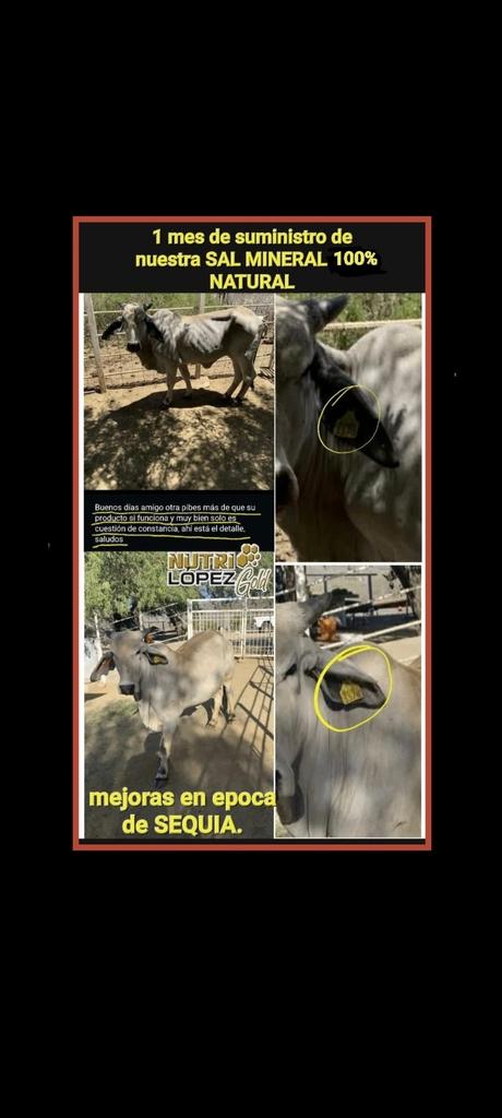 NUTRILÓPEZ en EPOCA DE SEQUÍA  - 4
