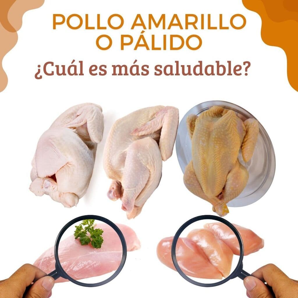 POLLO AMARILLO O PÁLIDO - ¿CUÁL ES MÁS SALUDABLE? - 1