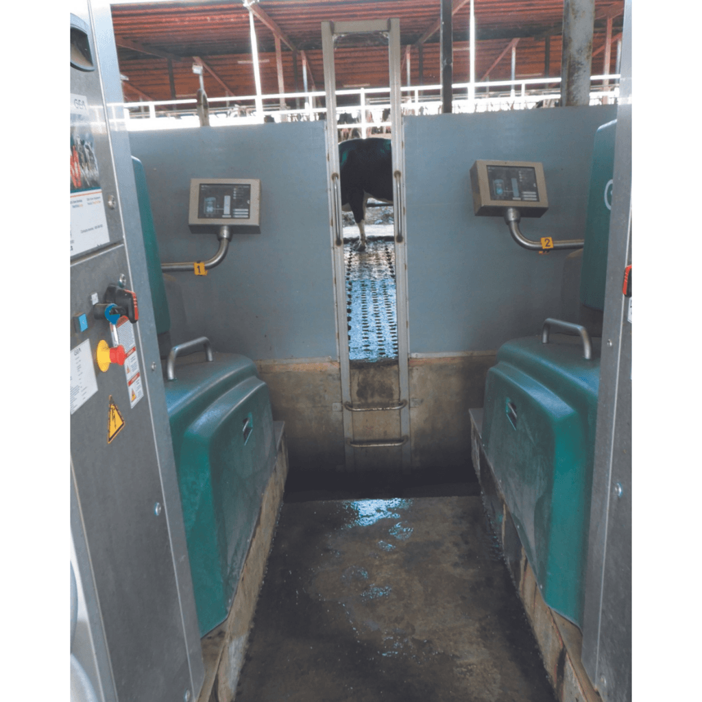 ¡𝗔𝘂𝘁𝗼𝗺𝗮𝘁𝗶𝘇𝗮𝗰𝗶𝗼́𝗻 𝗱𝗲 𝗼𝗿𝗱𝗲ñ𝗼 𝗽𝗼𝗿 𝗹𝗼𝘁𝗲𝘀 𝗿𝗲𝘃𝗼𝗹𝘂𝗰𝗶𝗼𝗻𝗮 𝗹𝗮 𝗽𝗿𝗼𝗱𝘂𝗰𝗰𝗶𝗼́𝗻 𝗹𝗲𝗰𝗵𝗲𝗿𝗮 𝗲𝗻 𝗘𝘀𝗽𝗮ñ𝗮!⁣ - 2