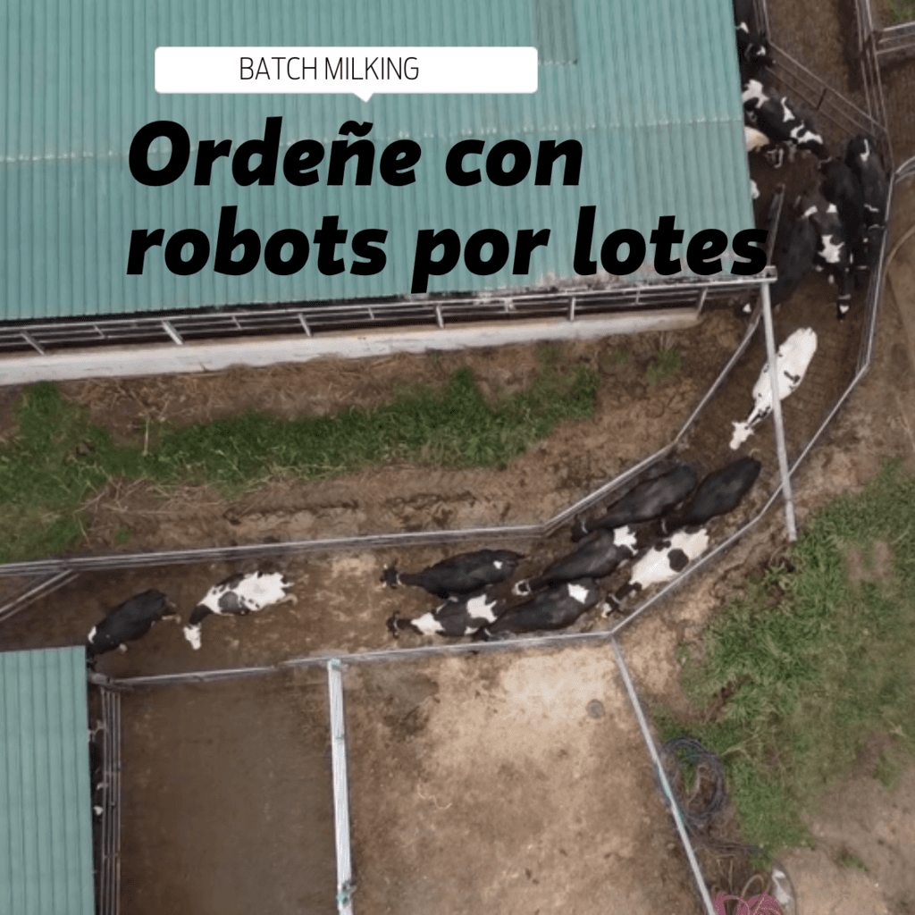 ¡𝗔𝘂𝘁𝗼𝗺𝗮𝘁𝗶𝘇𝗮𝗰𝗶𝗼́𝗻 𝗱𝗲 𝗼𝗿𝗱𝗲ñ𝗼 𝗽𝗼𝗿 𝗹𝗼𝘁𝗲𝘀 𝗿𝗲𝘃𝗼𝗹𝘂𝗰𝗶𝗼𝗻𝗮 𝗹𝗮 𝗽𝗿𝗼𝗱𝘂𝗰𝗰𝗶𝗼́𝗻 𝗹𝗲𝗰𝗵𝗲𝗿𝗮 𝗲𝗻 𝗘𝘀𝗽𝗮ñ𝗮!⁣ - 1