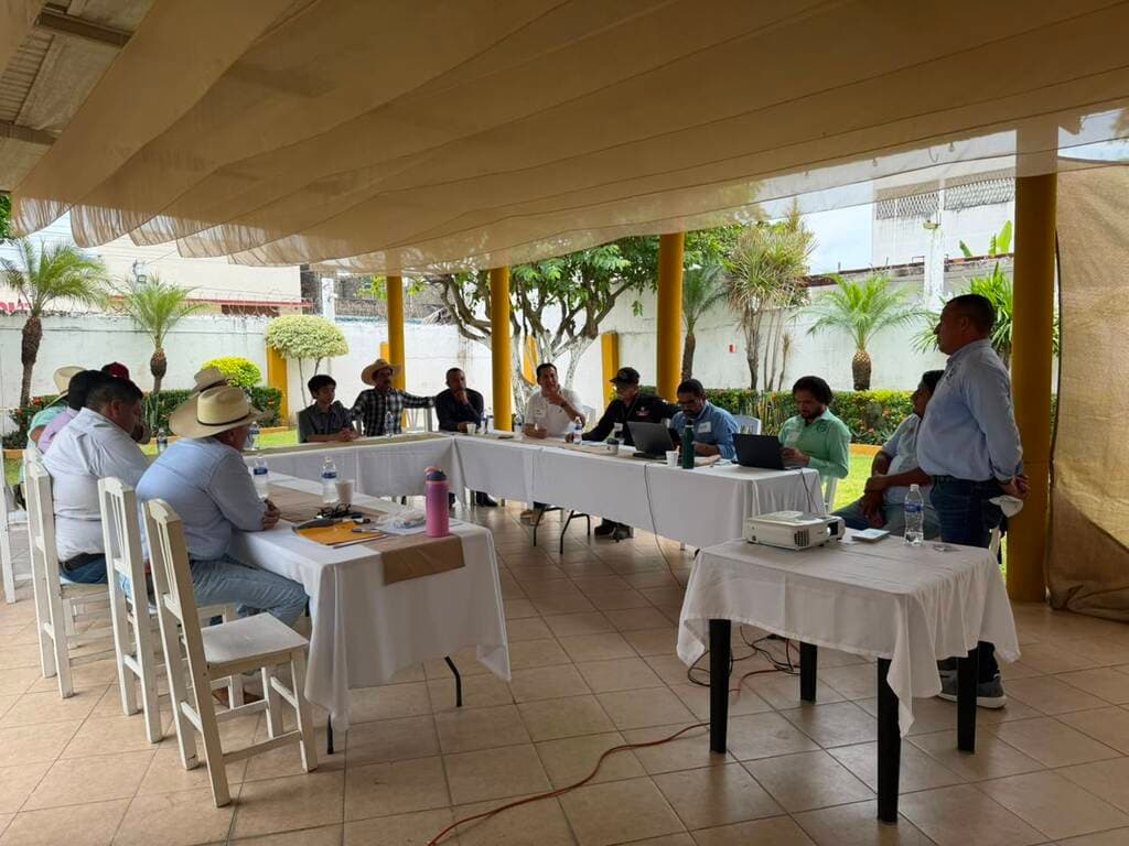 Panel Fortalecimiento de las Asociaciones Ganaderas Local en la Cuenca Baja del Papaloapan, Veracruz - 1