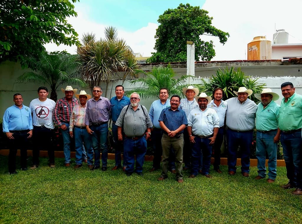 Panel de Actores Clave en la Ganadería DDR 174 - 1
