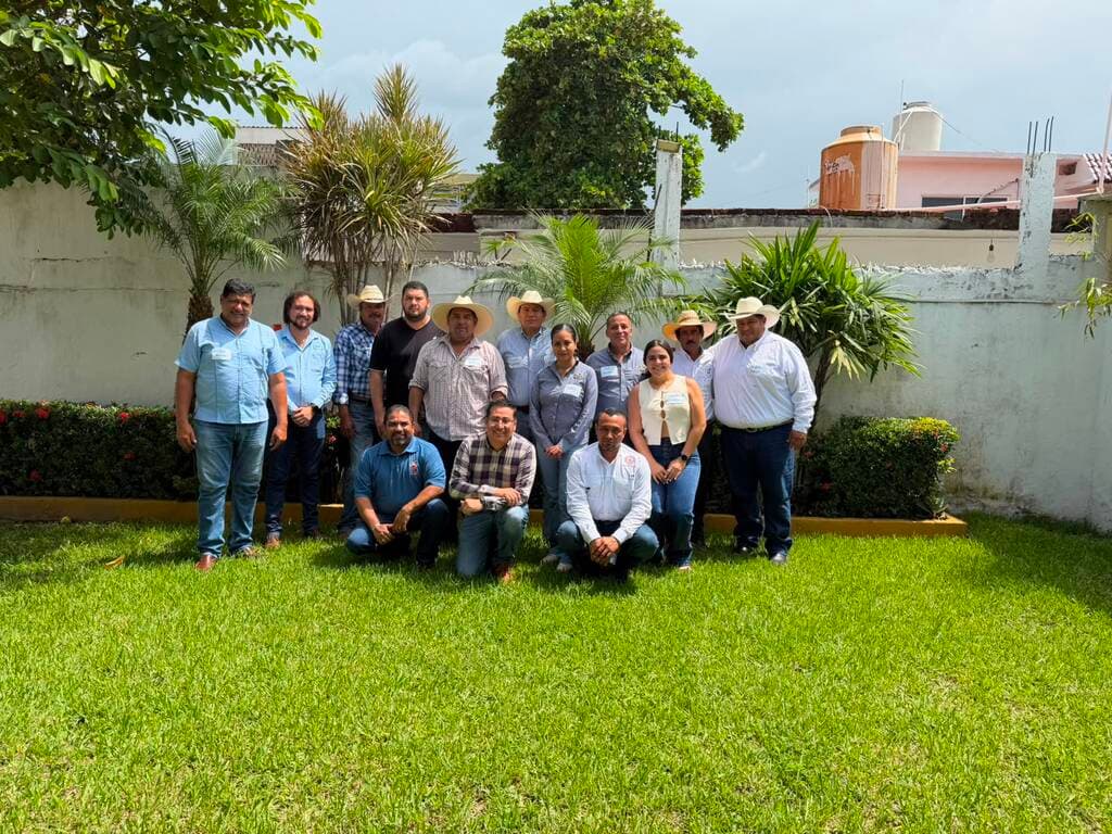 Estimación de Costos de Producción - 2
