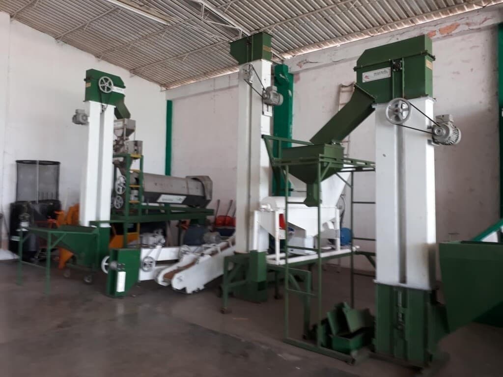Línea de beneficio de semilla de maíz - 3