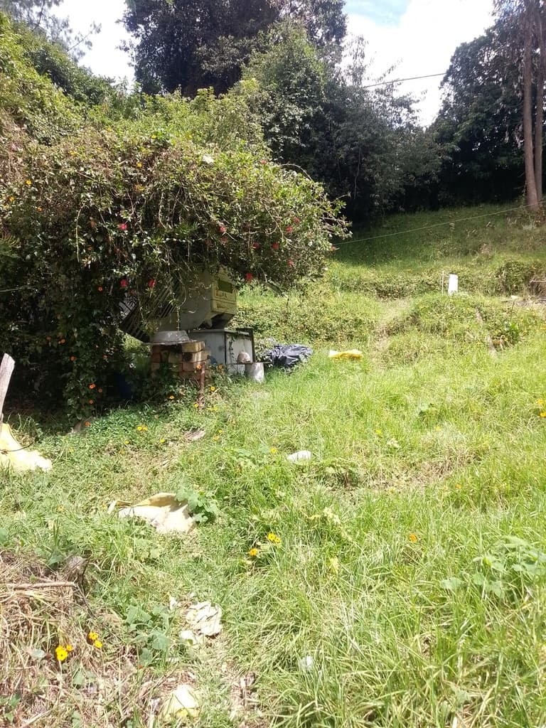 Avicultura ancestral adultos mayores - 4