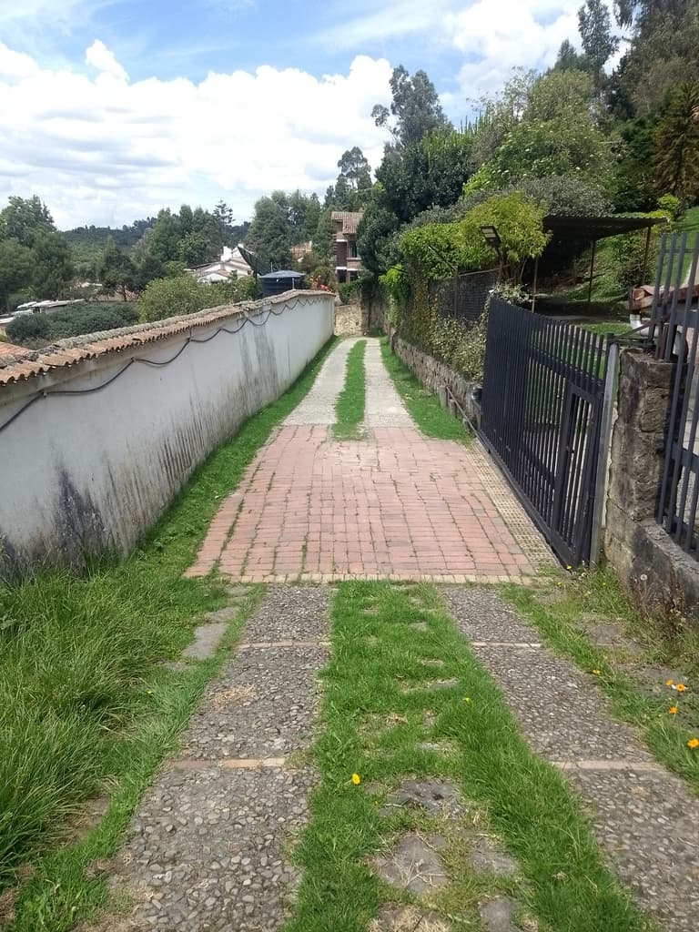 Avicultura ancestral adultos mayores - 3