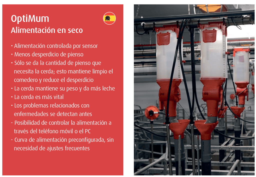 Los retos de alimentación con más desafíos en la producción porcina - 1