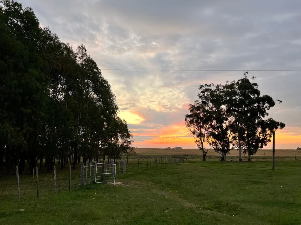 Campo en venta en San José, Uruguay - 3