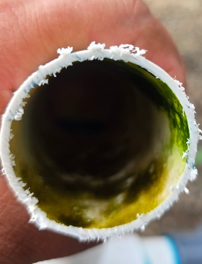 7 Riesgos de Bioseguridad Asociados al Biofilm - 2