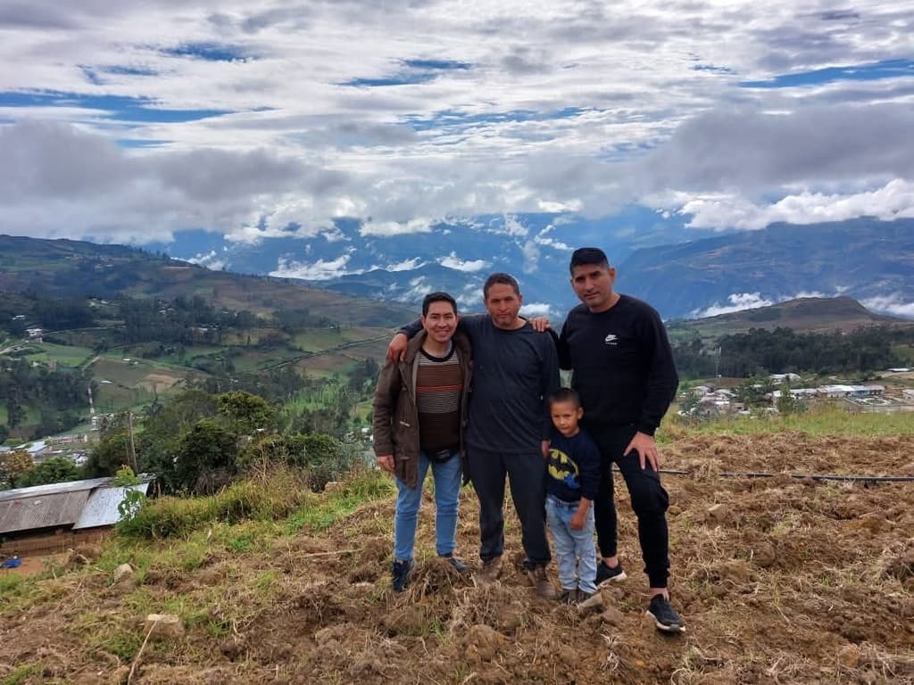 Gallinas Quechua Lindor  - 4