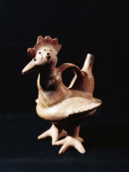 LA GALLINA QUECHUA PERUANA  - 1