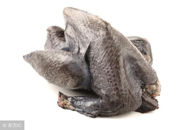 IMPORTANCIA DE LA INVESTIGACIÓN EN LA GENÉTICA AVÍCOLA  - 4