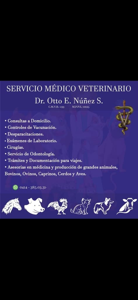 Médico Veterinario  - 1