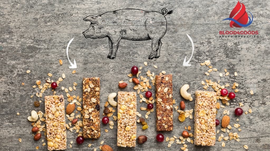 BLOOD4GOODS. Obtención de hidrolizado proteico a partir de sangre porcina para su aplicación en alimentación humana  - 2