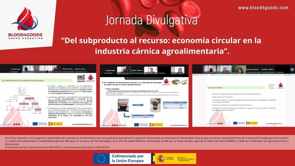 BLOOD4GOODS. Obtención de hidrolizado proteico a partir de sangre porcina para su aplicación en alimentación humana  - 1