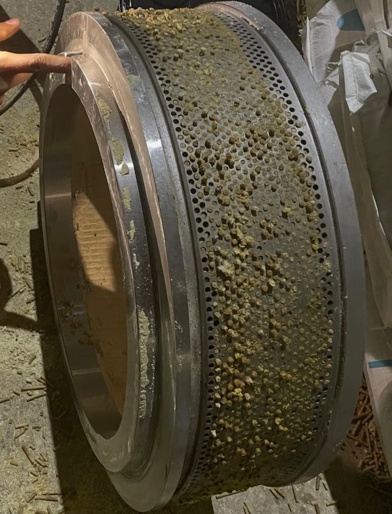 Impacto del estado del dado en la eficiencia del peletizado - 2