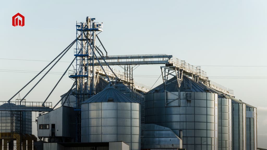 Elevador de Cangilones: Eficiencia y limpieza en el manejo de materiales - 1