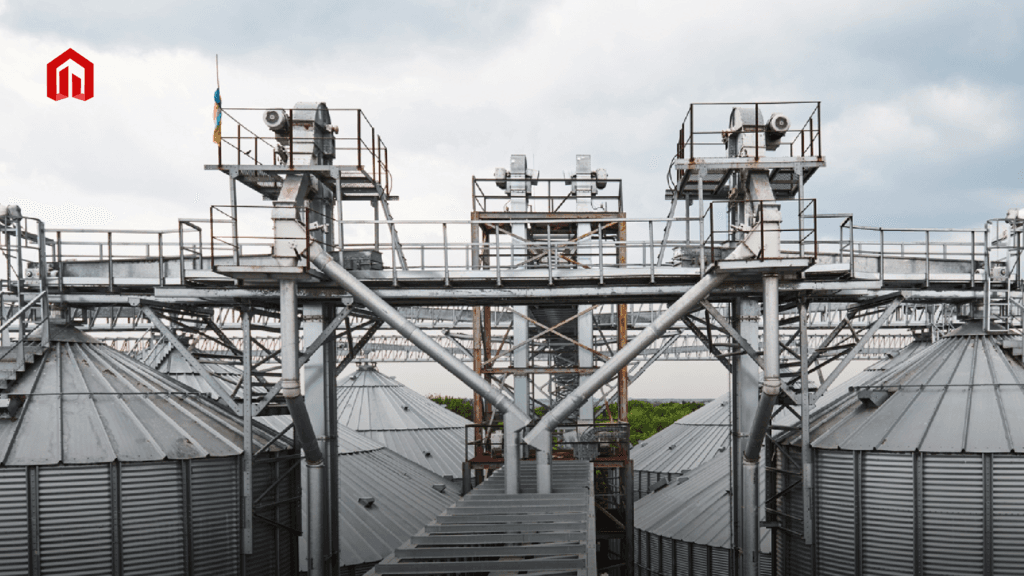 Transportador de Cadena Recepción: Eficiencia y versatilidad - 1