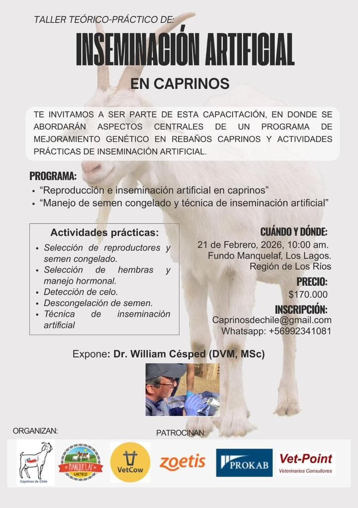 Taller de inseminación artificial en caprinos - 1