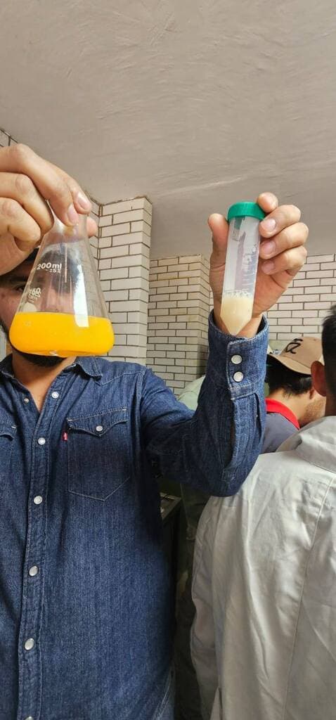 Criopreservación de semen bovino de manera práctica - 3