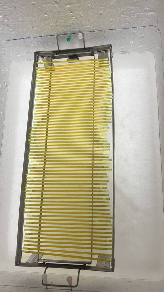 Criopreservación de semen bovino de manera práctica - 4