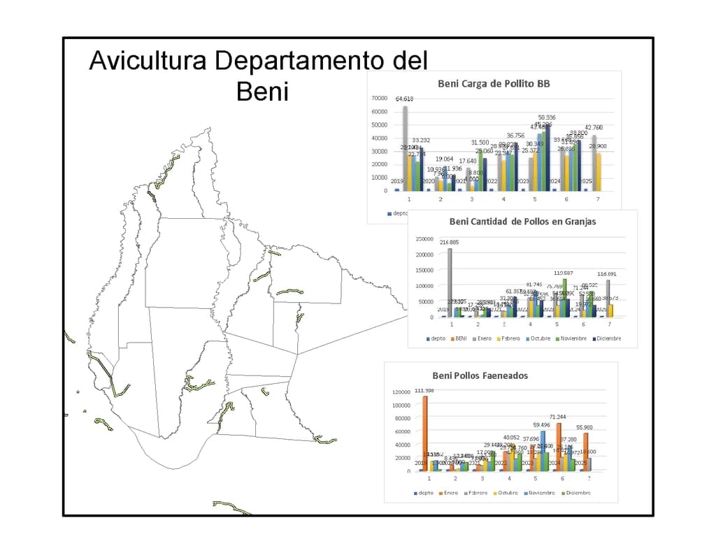 Estudio de Fomento a la Producción A viola en Bolivia  - 3