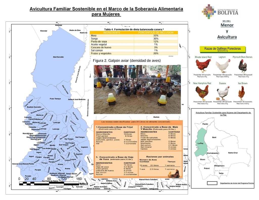 Estudio de Fomento a la Producción A viola en Bolivia  - 1