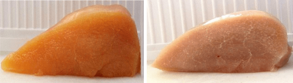 ¿Pechuga de pollo demasiado dura y seca? Cómo prevenir la pechuga de madera (Wooden Breast) - 1