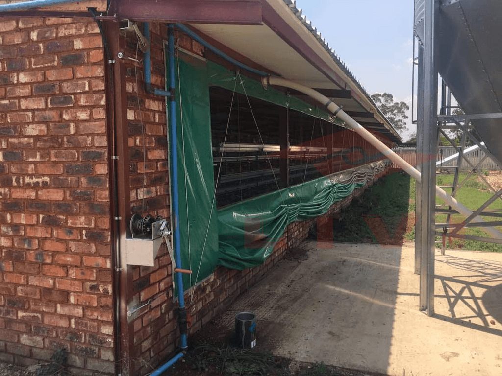 ¿Cómo elegir la estructura y el tipo de cerramiento de un galpón avícola? - 2