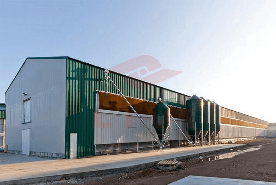 ¿Cómo elegir la estructura y el tipo de cerramiento de un galpón avícola? - 1