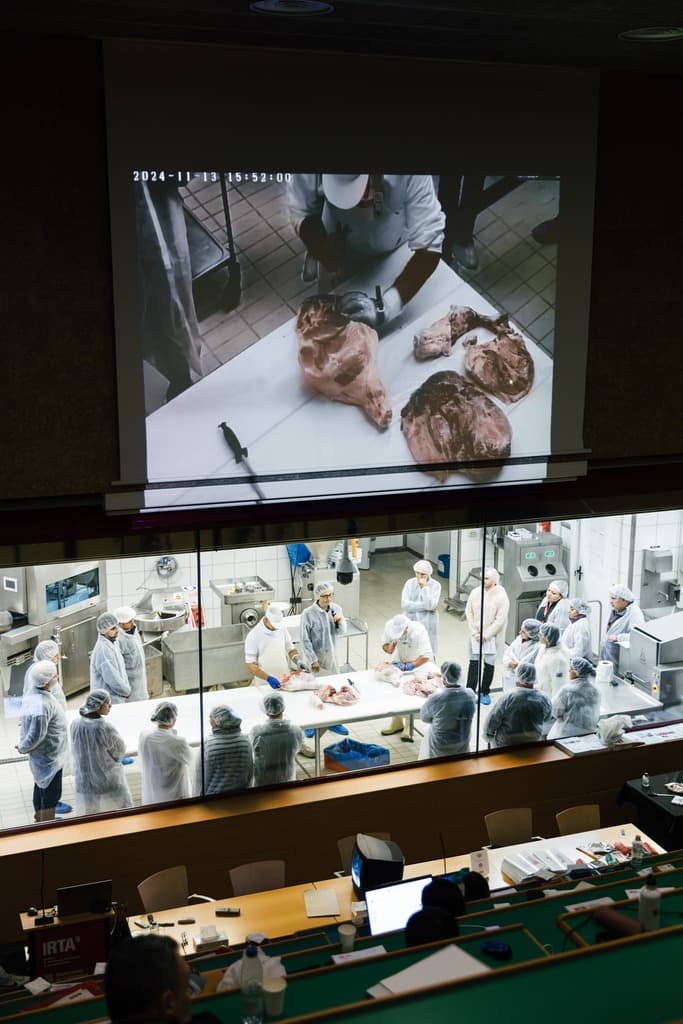 12th International course in dry-cured meat products - 1