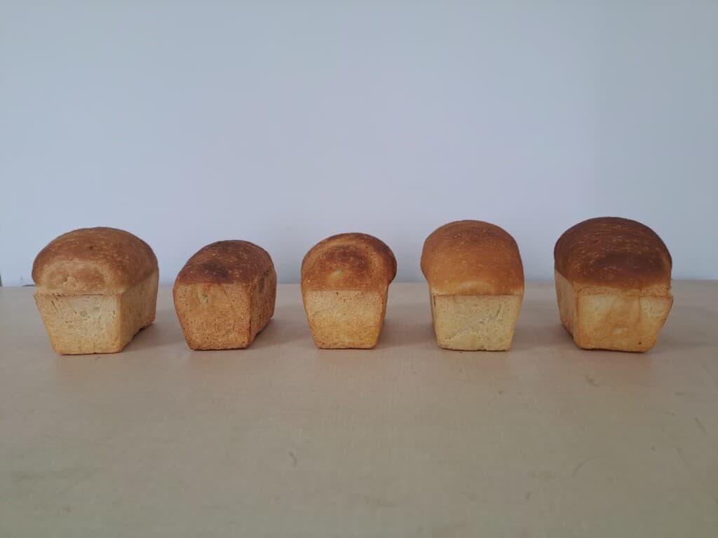 Rendimiento y calidad del trigo en la región central del país. Campaña 2025/26 - 1