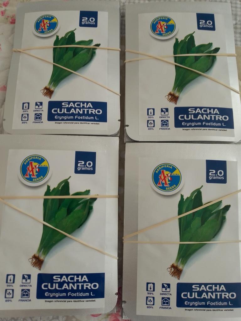 Semilla de sacha CULANTRO  - 1