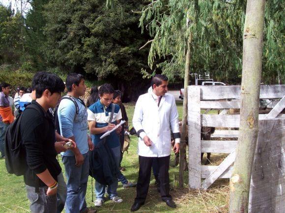 PRACTICAS VETERINARIAS