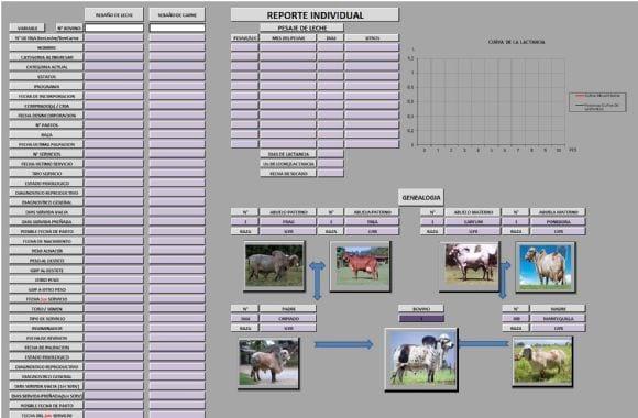 REPORTE INDIVIDUAL