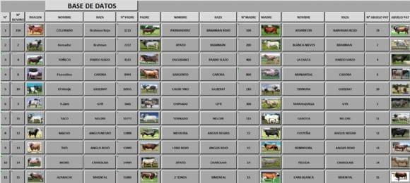 BASE DE DATOS