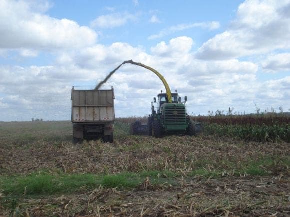 cabezal corte directo para forrajes