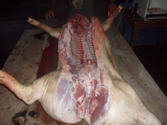 cerdo sacrificado