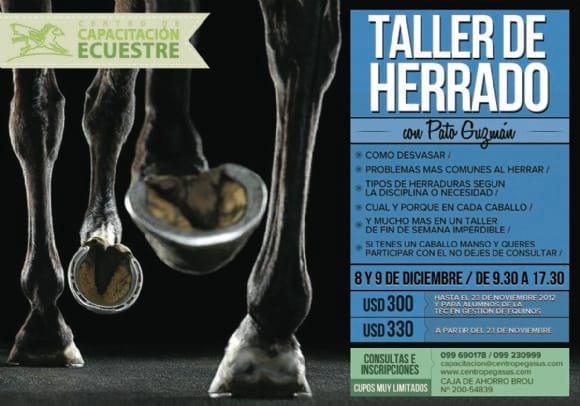 TALLER DE HERRADO CON PATO GUZMAN