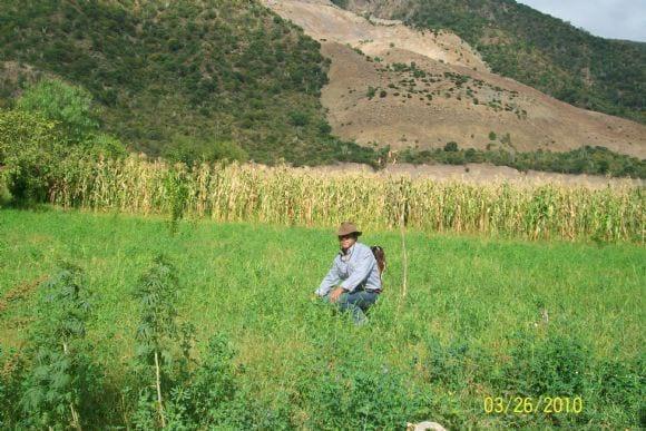 CAMPO