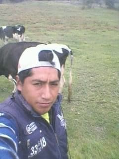 con las vaquitas