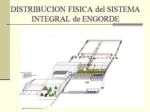 Diseno integrado