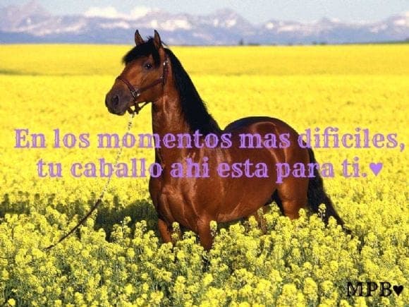 Varias